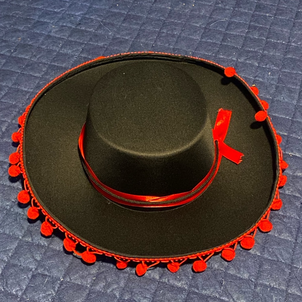 Sombrero halloween hat